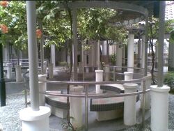 Blk 10 Selegie House (Central Area), HDB 3 Rooms #467236681